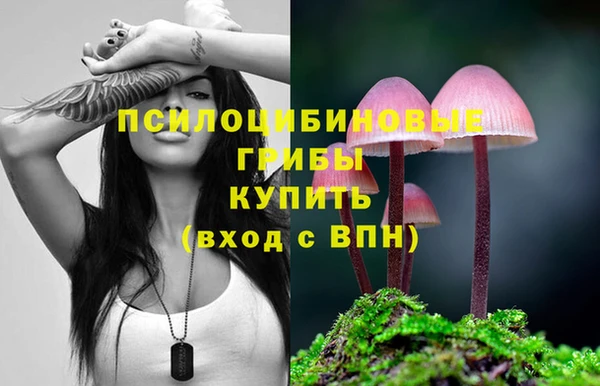 мдпв Лиски