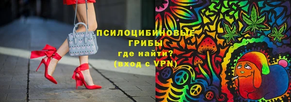 МДПВ Россошь
