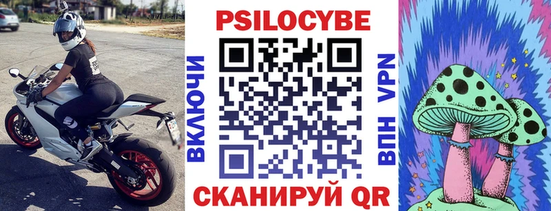 что такое наркотик  Бежецк  мега вход  Псилоцибиновые грибы Cubensis 